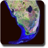 Farming the Everglades