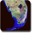 Farming the Everglades