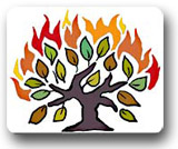 The Birth of The Burning Bush