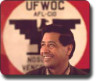 UFW