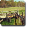RealFarmerStory